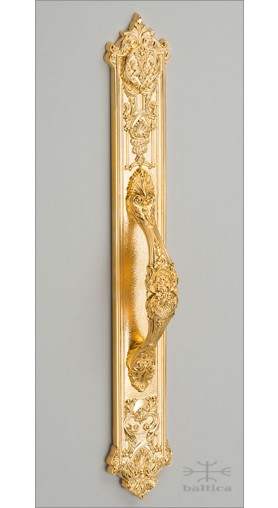 Aurelia door pull I & backplate D - gold plated - Custom Door Hardware 