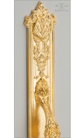 Aurelia door pull I & backplate D close up - gold plated - Custom Door Hardware
